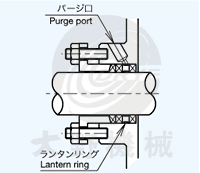 �����ɥѥå��󣫥�󥿥��󥰥ѩ`��